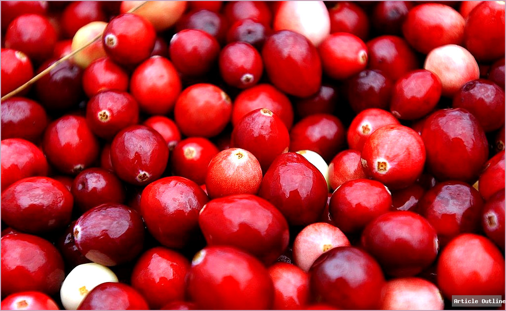 A Thanksgiving dinner table with traditional dishes impacted by climate change