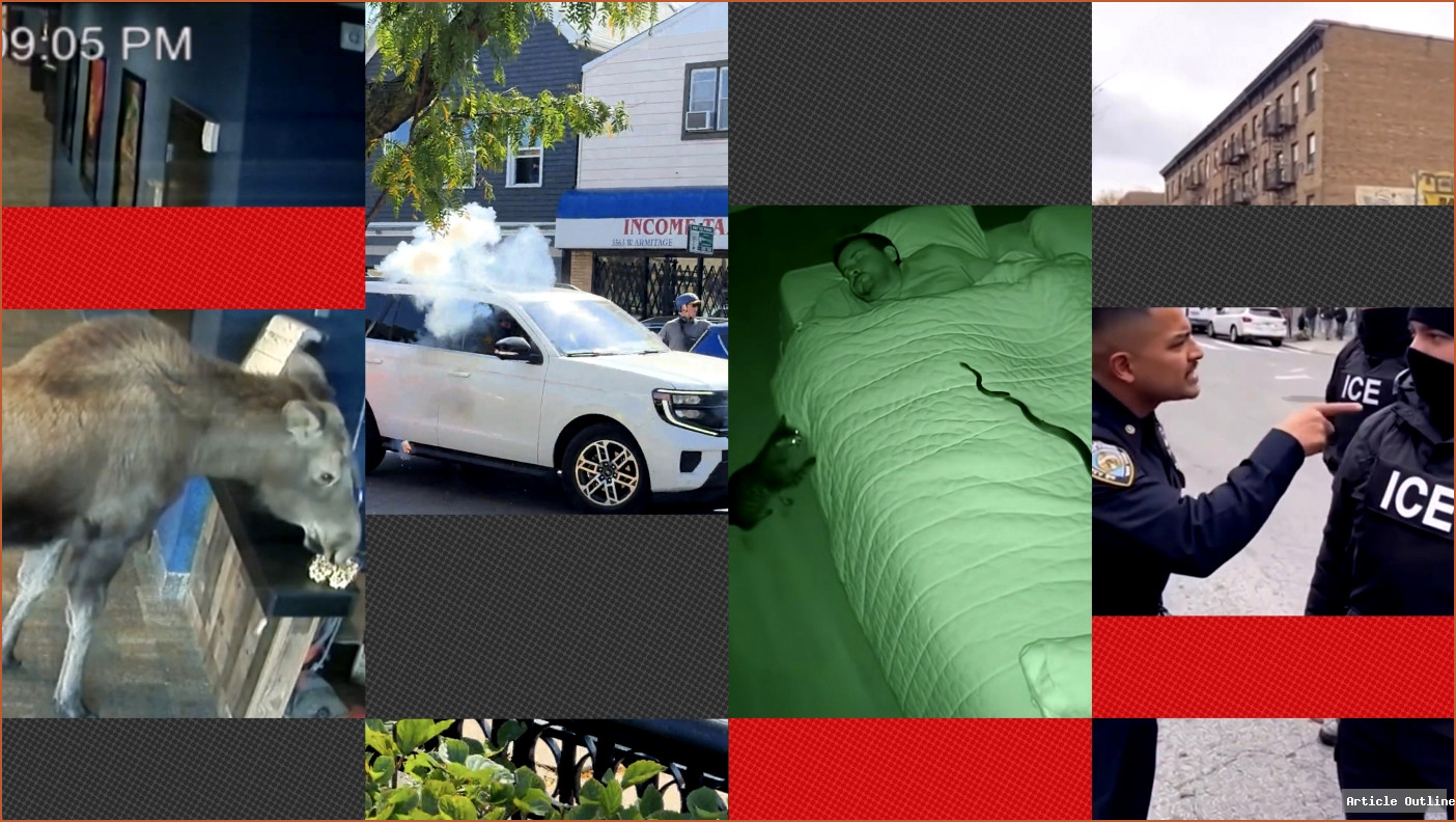 AI generated video confusion