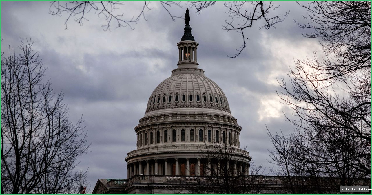 DOGE operatives and digital transformation in US government