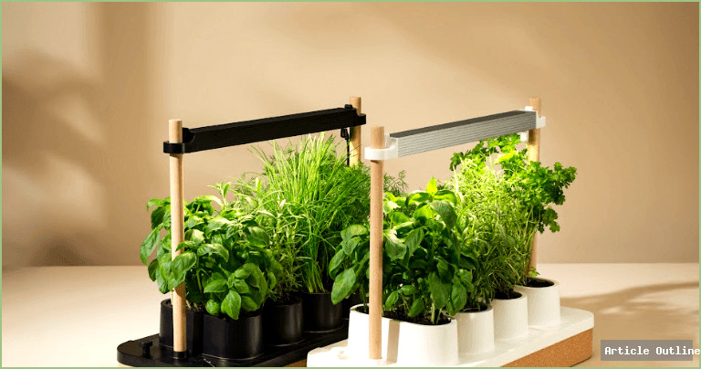 Auk Mini Herb Planter on kitchen counter