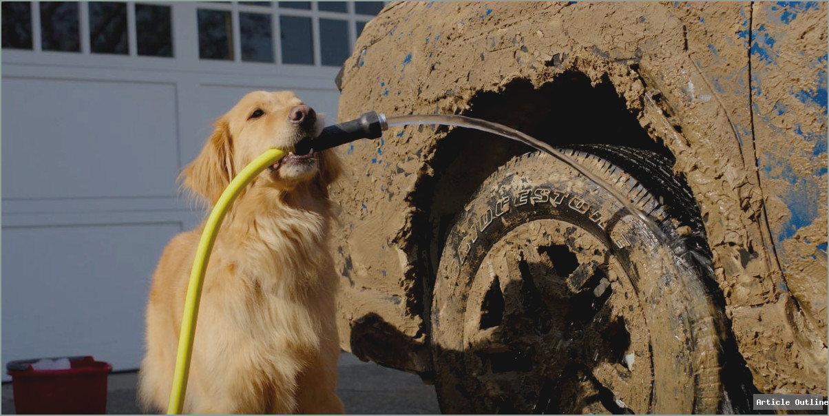 Subaru Wilderness SUV with dog