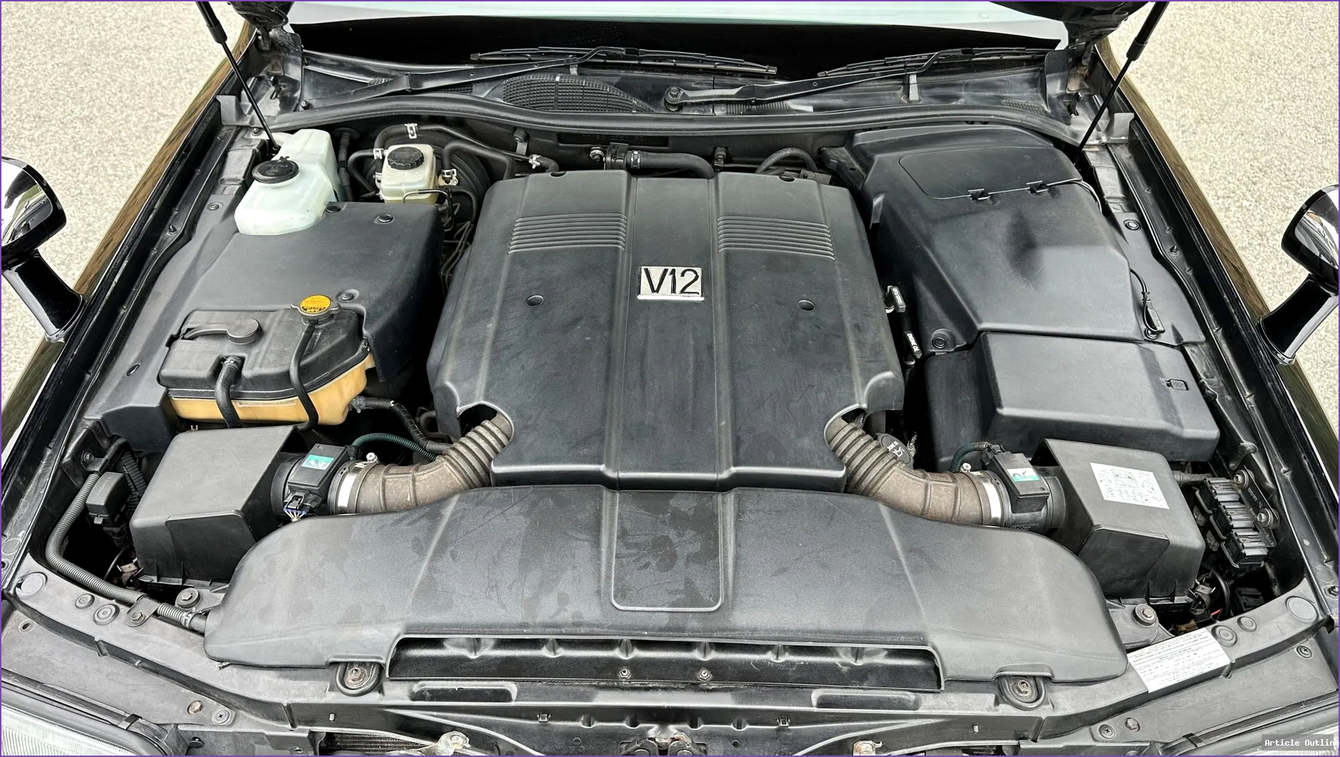 Article image 5