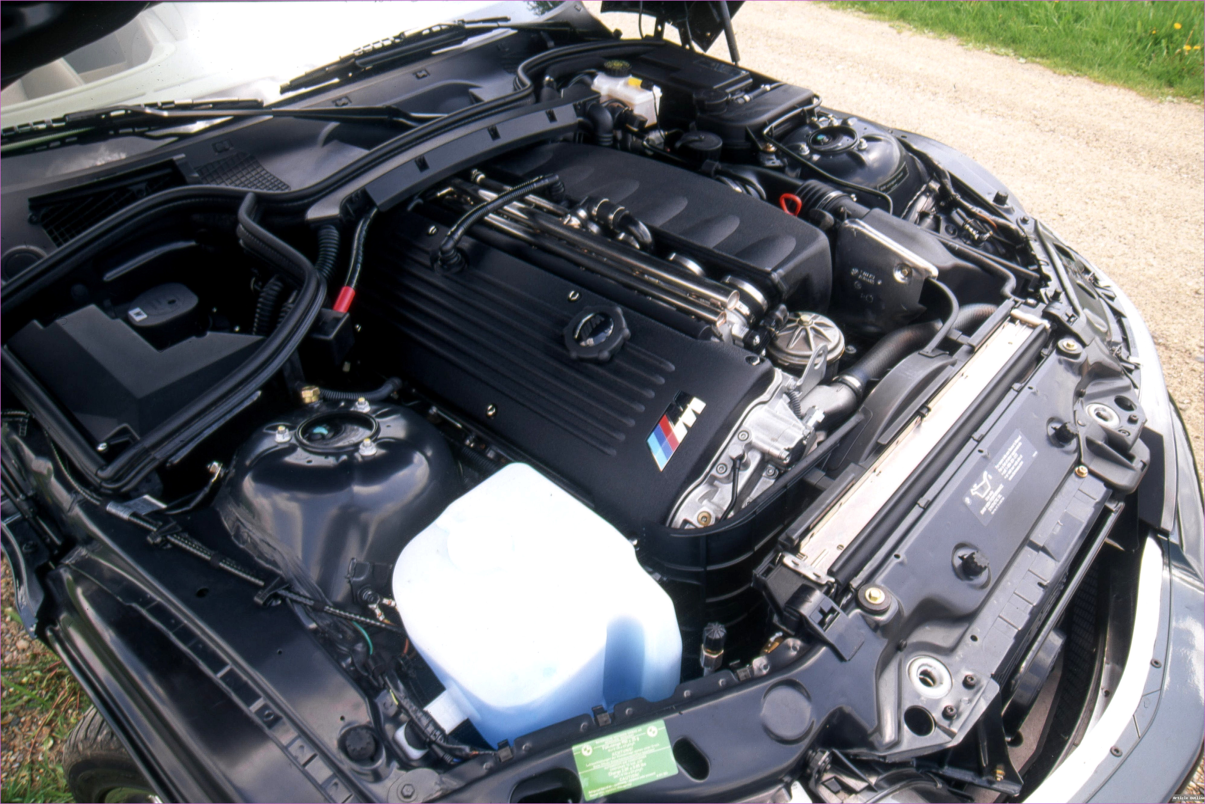 Article image 7