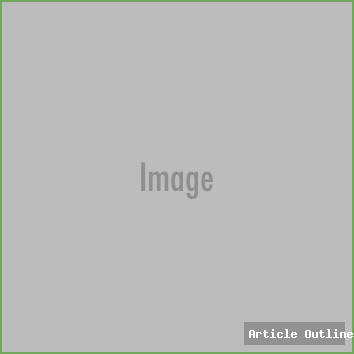 Article image 1